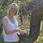 Alison Harvey - @al_harvey_15 - Instagram