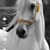 AL Hatem - Facebook