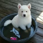 Blizzard - @alhatfield2 - Instagram