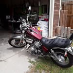 Al Hebert - @al.hebert.148 - Instagram