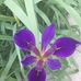 Al Hebert - Facebook