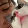 alexherrin - @alexherrin - TikTok