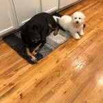 Alexys Higbee - @alexys.higbee - Instagram