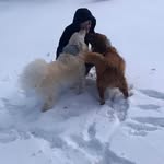 Amber Lynn Hinkley - @alhinkley - Instagram