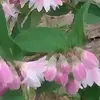 aliciahockaday - @aliciahockaday - TikTok
