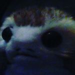 Alek Hoehle - @alekhoehle - Instagram
