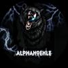 Alphahoehle - @alphahoehle - TikTok