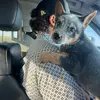 Al.Hofer - @al.gfym - TikTok
