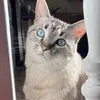 Ali Hofer - @alihofer - TikTok