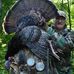 Al Holbert - Facebook