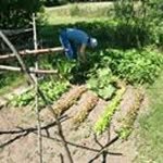 Al Holm - @al.holm - Instagram
