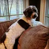Macheal Holtz - @macheal.holtz - TikTok