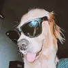 alo homan - @alo.homan - TikTok