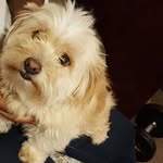 Al Hooker - @al.hooker.56 - Instagram