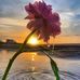 Marwan Alhoop - Facebook