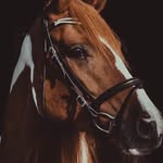 @alhope_____14 - Instagram