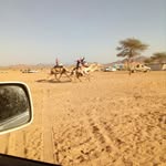 محمد الحويطي - @alhowetis7 - Instagram
