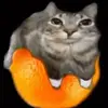 alexhuggins898 - @alexhuggins898 - TikTok
