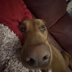 Alex Hull - Facebook