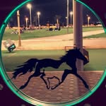 مربط الحور 🐴 - @alhurstud - Instagram