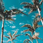 هتون - @al.hutton0 - Instagram