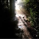 Alex Hutton - @alexhuttonmusic - Instagram