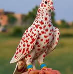 Ali Ba - Facebook