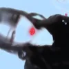 ali._.ce - @alice.nanosa - TikTok