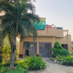 Al-Imran Nursery Farm(Offical) - @al_imran_nursery_farm - Instagram