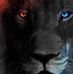 Alex Ivanov - Facebook