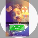 Alivester - @alivester_05 - Instagram