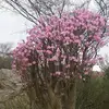 al.jaber - @al.jaber - TikTok