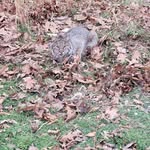 Al Jamison - @al.jamison.965 - Instagram