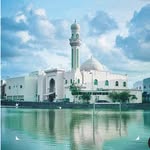 شبكة أخبار قرية الجنبية - @aljanabiyhanews - Instagram