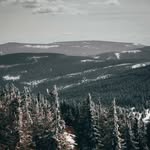 Aleksander Jankowski - @a.l.jankowski - Instagram