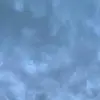 Alex Janssen - @alexjanssen8 - TikTok