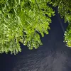صدقه جاريه عن اموات المسلمين - @a.ljee - TikTok