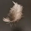 Bikide - @aljeff84 - TikTok