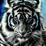 al jeffrey b sahid - @aljeffreyb - Instagram