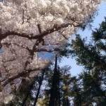 Al-Jeffrey De Villa - @mathematicalvelocity - Instagram