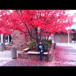 Mohammad Al-Jeffrey - @mohammad_aljeffrey - Instagram