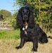 Alison Jessup - Facebook