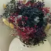 alji.m - @alji.m - TikTok