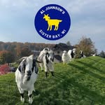 Al Johnsons - @aljohnsons - Instagram