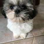 Al Johnston - @al.johnston.507 - Instagram