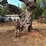 Al Johnston - @al.johnston.7161 - Instagram