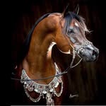 ⚜️ القيصر⚜️🐎 - @al.kaiser_ - Instagram