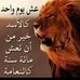 Al kaiser al  liby - Facebook