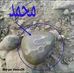 Mai annabi yahada al amin bihari kale - Facebook