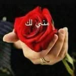 محسن محاميد - @alkaser__m - Instagram